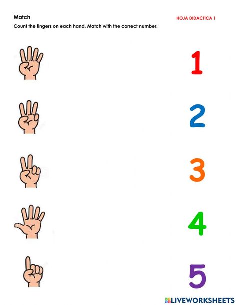 Numbers 1 to 5 interactive activity for Preschool Learning Numbers 1-5 Preschool, Activities For Numbers Preschool, Review Numbers 1-5 Preschool, 1 To 5 Number Worksheet, Identify Numbers 1-10 Activities, Number 4 Activities For Kindergarten, Number Identification Activities 1-5, Number 1 To 5 Worksheets, Number 1 To 5 Activities For Preschool