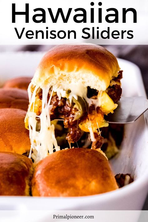 Recipes Using Canned Venison, Venison Sliders Recipes, Venison Breakfast Recipes, Venison Appetizer Recipes, Deer Burger Recipes Ground, Elk Sliders, Venison Appetizers, Venison Burger Recipes, Venison Sliders