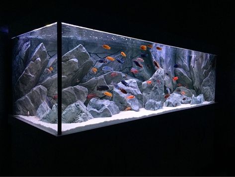 Setup is simple and easy and it needs to be glued to the glass with silicone for aquariums. They can be accompanied by the bottom and overhanging rocks in the same design and color.
All A models have a similar width, about 2 cm (less than 1″) in the thinnest parts. In the widest part it is about 17-18 cm (6-7″). If you want to find out how equipment can be hidden behind a background, please look through our page with setting up instructions. Modern Fish Tank, African Cichlid Tank, Fish Rocks, Aqua Decor, Malawi Cichlids, Cichlid Aquarium, Aquascape Design, Turtle Tank, Hardscape Design