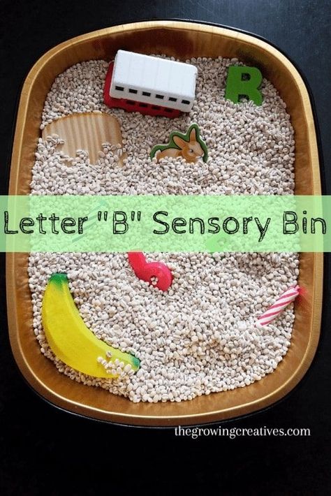 B Sensory Bin, Preschool Letter Activities, Sensory Bin Preschool, Preschool Letter B, Letter S Activities, Letter B Activities, Letter Learning Activities, Letter Recognition Activities, Preschool Letter