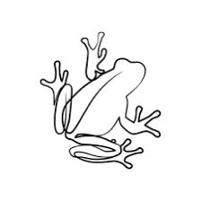 Witchcraft Tattoos, Artsy Tattoos, Frog Tattoo, Frog Tattoos, Frog Drawing, Line Art Drawing, One Line Art, Massage Room, Line Art Drawings