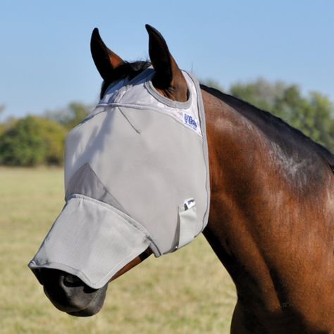 Cashel Fly Masks Protect Against More than Flies. We all know fly masks protect against flies. It’s in the name, right? But nowadays they can do a lot more. Horse Fly Masks, Horse Fly Mask, Fly Control, Equestrian Helmets, Equestrian Helmet, Horse Fly, Long Nose, Equestrian Boots, Horse Supplies