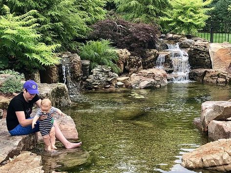 Large Koi Pond In Southern California Large Koi Pond, Pond Construction, Pond Maintenance, Pond Waterfall, Pond Life, Natural Swimming Pools, Living Ideas, Koi Pond, The Pond