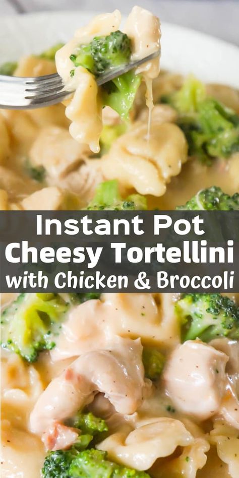 Chicken Tortellini Recipes Instant Pot, Instant Pot Chicken Tortellini Alfredo, Insta Pot Tortellini Recipes, Tortellini Instant Pot Recipes, Instant Pot Tortellini Recipes, Instant Pot Gnocchi, Instant Pot Chicken Tortellini, Tortellini With Chicken, Instant Pot Tortellini