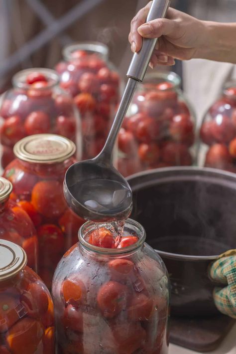 Canning Aesthetic, Canning Drinks, Mason Jar Aesthetic, Canning Essentials, Canning Room, Spicy Asian Noodles, Pickled Fruit, Quick Pickle, Canning Tools