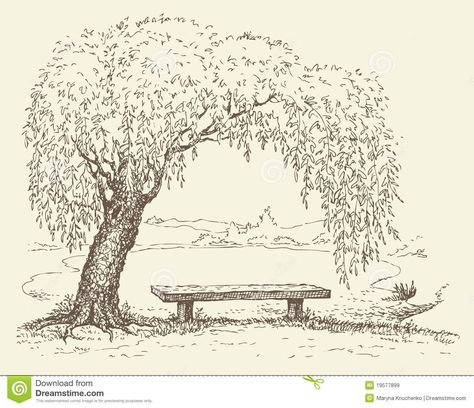 Old Bench Under A Willow Tree By The Lake Royalty Free Stock ... Under A Willow Tree, Bench Drawing, A Willow Tree, Willow Tree Tattoos, Old Benches, Illustration Landscape, Tree Wedding Invitations, Tree Sketches, Landscape Sketch