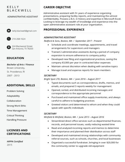 Resume Summary Examples, Free Resume Examples, Free Resume Builder, Basic Resume, Executive Resume Template, Resume Summary, Online Resume, Resume Maker, Resume Builder