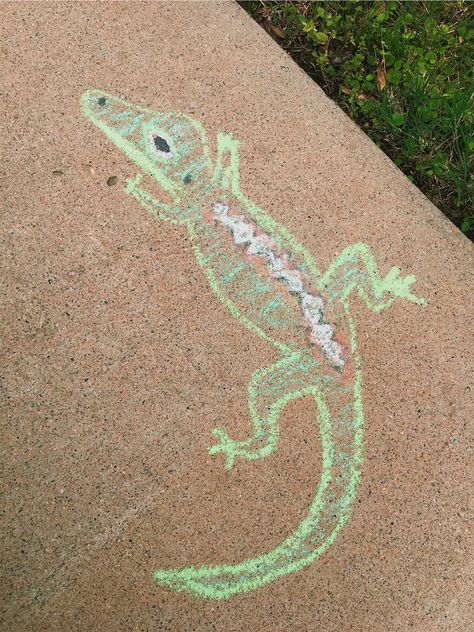 Chalk Animals Easy, Chalk Art Animals, Lizard Cute, Fun Chalk Art, Chalk Ideas, Sidewalk Art, Chalkboard Ideas, Chalk Drawings, Chalk Art