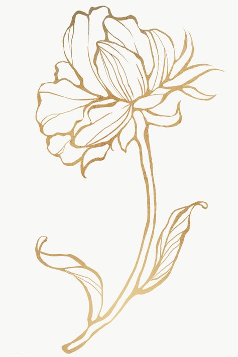 Line Art Flowers, Leaf Outline, Flower Outline, Transparent Flowers, Gold Leaf Art, Golden Flower, Flower Art Images, Outline Art, Gold Line