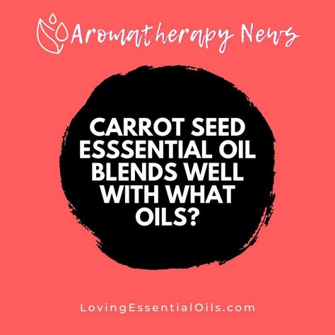 Carrot seed essential oil is a versatile oil that can be used in a variety of ways. It has a unique, earthy aroma that can be used to create custom essential oil blends. When bl... Learn more at Loving Essential Oils Carrot Seed Essential Oil, List Of Essential Oils, Essential Oil Safety, Making Essential Oils, Aromatherapy Benefits, Essential Oils Cleaning, Essential Oils For Sleep, Carrot Seed Oil, Carrot Seeds