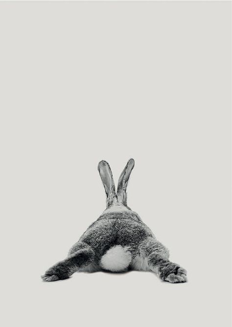 Rabbit Print Woodlands Nursery Art Rabbit Wall Decor Black Woodlands Nursery, Wall Decor Black And White, Art Rabbit, Woodland Nursery Art, Decor Black And White, Black And White Baby, Baby Animal Prints, Rabbit Print, Appaloosa