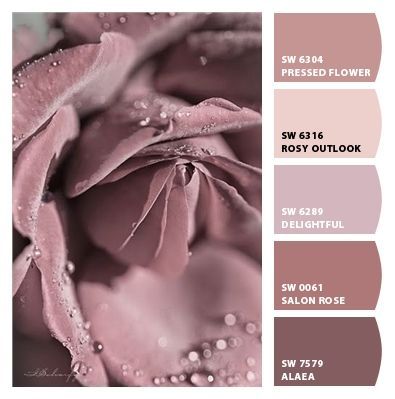 Sherwin Williams Mauve Paint Colors, Sherwin Williams Mauve, Dusty Rose Color Palette, Rose Paint Color, Pink Paint Colors, Paint Color Schemes, Color Schemes Colour Palettes, Neutral Paint Colors, Green Paint Colors