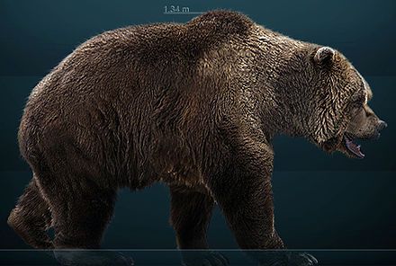 Cave Bear Rendering Short Faced Bear, Bear Species, Cave Bear, Wooly Mammoth, Living In Europe, Extinct Animals, The Cave, Prehistoric Creatures, Prehistoric Animals