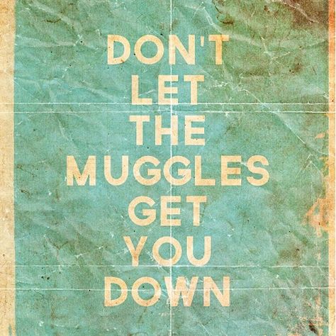 Ron Y Hermione, Calloway Sisters, Hufflepuff House, Daily Ideas, Images Harry Potter, Life Quotes Love, Harry Potter Love, Harry Potter Obsession, Geocaching