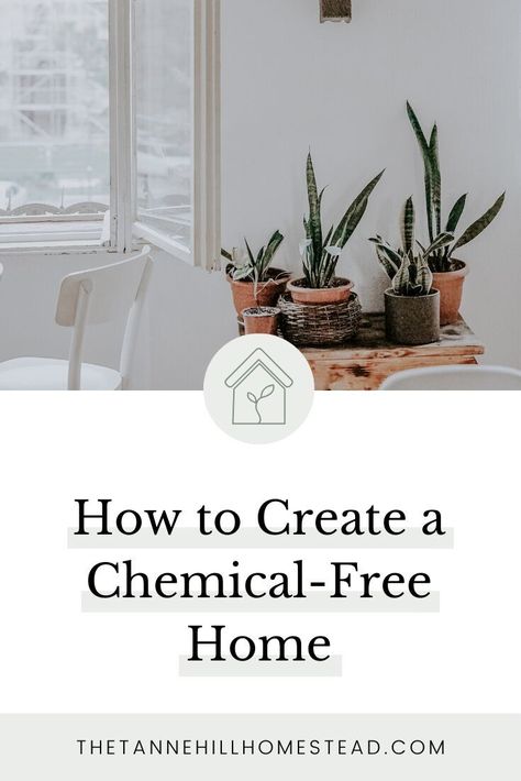 Are you tired of using harmful chemicals in your home and ready to create a chemical-free home? Here's how to do it, and it's not hard! #chemicalfreehome #removeharmfulchemicals #naturalliving #chemicalfreeliving #healthyliving #ecofriendly Toxic Free Living, Crunchy Mom, Chemical Free Living, Toxin Free Living, Toxic Cleaning Products, Chemical Free Cleaning, Plastic Free Living, Essential Oils Cleaning, Homemade Cleaning Products