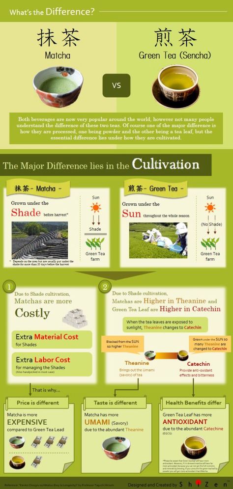 Difference between Matcha and Sencha green tea（InfoGraphic）: Matcha vs Green Tea  http://blog.shizentea.com/2013/07/difference-between-matcha-and-green-tea（infographic）/ Green Tea Vs Coffee, What Is Green Tea, Matcha Green Tea Benefits, Matcha Green Tea Recipes, Sencha Tea, Tea Aesthetic, Tea Farm, Green Tea Recipes, Green Tea Latte