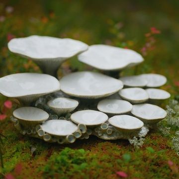 Pottery Sculpture Ideas, Mushroom Ceramics, Ceramics Nature, Artistic Character, Paint Palettes, Pottery Handbuilding, Ceramic Artwork, Sculpture Ideas, Garden Pottery