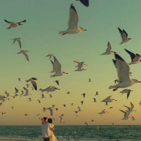 Reminiscing on this magical evening with Maria & Ben from back in February 💌 . . young love, beach sunset photos, true love, fairytale, engagement inspo, elopement inspo, couples outfits, couples inspo, Pinterest, aesthetic, nostalgia, dreamy, joy, love Aesthetic Nostalgia, Couples Outfits, Love Beach, Engagement Inspo, Pinterest Aesthetic, Sunset Photos, Couple Outfits, Beach Sunset, True Love