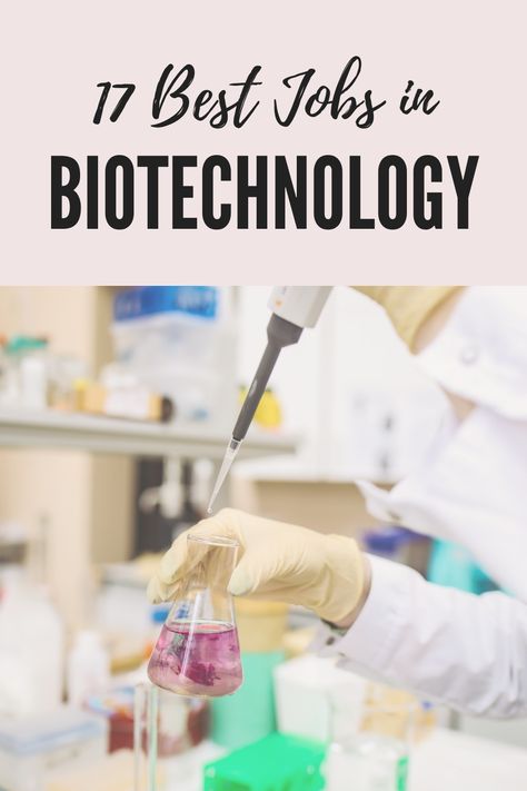 Most people think of biotechnology as a career in the medical field, but that's simply not true. Biotechnology has many applications in all different career fields, from agriculture to law, so here are some of the best jobs in the growing field of biotechnology! Science Jobs Career, Biotech Student Aesthetic, Medical Careers Fields, Medical Biotechnology Aesthetic, Biomedical Science Aesthetic, Biomedical Engineering Aesthetic, Bio Medical Engineering, Biotechnology Student, Biotechnology Aesthetic