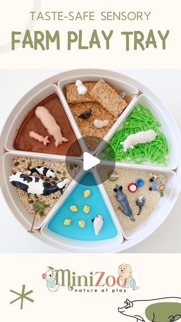 Toy Animal Store | Schleich, CollectA, Papo & more on Instagram: "Ingredients used 👇🏻👇🏻👇🏻  If you struggle with sensory play because it’s never safe for kids who still put things in their mouth… try this!  To create this completely TASTE-SAFE sensory farm play tray, I used:   🦆 Duck pond: gelatin with blue food dye 🐑 Sheep field: cut up spaghetti cooked in green food-dye water 🐄 Cow barn: rolled oats and pepita (pumpkin) seeds 🐓 Chickens: weetbix 🐖 Pigs: muddy oobleck made with 2:1:1 ratio of cornflour, cocoa and water 🐕 Pets with farmer: breadcrumbs  All completely safe to use for sensory play, with no need to worry if you find your little one exploring with their mouth 🙊   🦆SAVE this easy and FUN sensory activity to try with your little ones 🐓  Find all your farm animal to Farm Animal Activities For Babies, Farm Sensory Activities, Farm Messy Play, Farm Animal Sensory Play, Farm Animal Activities For Toddlers, Farm Sensory Tray, Sensory Tray, On The Farm Sensory Bin, On The Farm Sensory Play