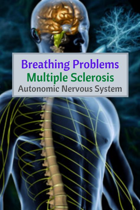 Breathing problems could be linked to the autonomic nervous system because multiple sclerosis can affect the intercostal muscles and breathing problems causes could be autoimmune related ot an intercostal muscle strain. #breating_problems #intercostal_muscles #multiple_sclerosis #autonomic_nervous_system #affiliate_marketing Intercostal Muscle Strain, Intercostal Muscles, Dry Needling Therapy, Ms Disease, Multiple Sclerosis Symptoms, Ms Symptoms, Dry Needling, Think Positive Thoughts, Difficulty Breathing