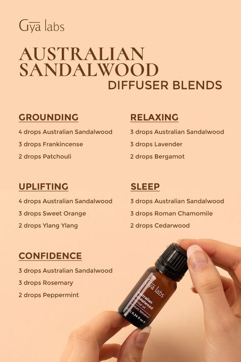 Aromatic Australian Sandalwood essential oil blends: Find relaxation and balance with our captivating scents crafted from nature. Discover the perfect harmony of warm sandalwood notes and delicate floral, citrus, or herbal undertones.
#GyaLabs #AustralianSandalwood #EssentialOilBottle #Oils #EssentialsOils #Aroma #Diffuser #Blends #Beauty #Cosmetic #Aromatheraphy #Relaxation #Diffuserblends #Essentialoilblends Sandalwood Essential Oil Diffuser Blends, Diffuser Blends With Sandalwood, Sandalwood Oil Blends, Sandlewood Diffuser Blend, Sandlewood Essential Oil Blends, Sandlewood Essential Oil Diffuser Blends, Sandalwood Diffuser Blend, Sandalwood Essential Oil Blends, Sandalwood Diffuser Blends