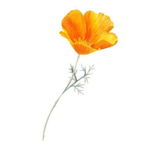 Orange Poppy Tattoo, California Poppy Drawing, Yellow Flower Tattoos, Poppy Tattoo Small, California Poppy Tattoo, California Poppy Art, Poppy Flower Tattoo, Poppy Tattoo, Tree Tattoo Small