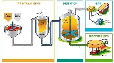 Biogas Production Biogas Generator, Biogas Digester, Biogas Plant, Methane Gas, Biomass Energy, Startup Office, Oil And Gas Industry, Diy Compost, Free Energy Projects