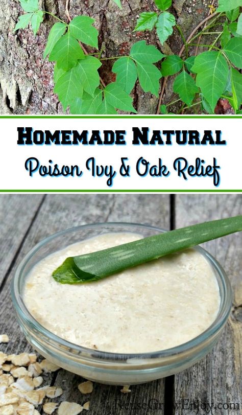 While spending some time outdoors in the nice weather did you run into poison ivy or poison oak? If you did I am sure you are itching like crazy! I am going to show you how to make my Homemade Natural Poison Ivy Relief. Poison Oak Remedies How To Get Rid, Poison Oak Remedy, Poison Ivy Relief, Poison Ivy Remedies, Bug Repellant, Poison Oak, Random Tips, Holistic Health Remedies, Nice Weather