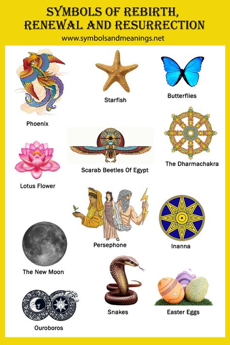 Inevitably, many symbols emerged to represent rebirth, reincarnation and transformation of life within cultures around the world. But what are the symbols of rebirth? In this post, we will delve into this very subject and aid you on your journey of knowledge. Rebirth Tattoos, Rebirth Symbol, Rebirth Tattoo, Animal Symbolism, Symbol Tattoos, Fire Bird, Symbols Of Strength, Life Symbol, Horror Music