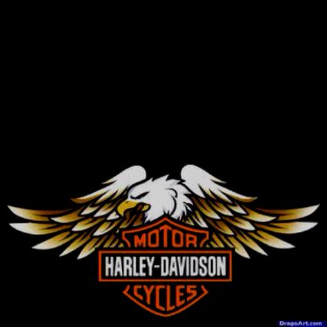 Harley Davidson Happy Birthday Harley Davidson, Motor Harley Davidson, Harley Davidson Birthday, Harley Davidson Quotes, Harley Davidson Images, Harley Davidson Posters, Harley Davidson Pictures, Мотоциклы Harley Davidson, Harley Davidson Artwork