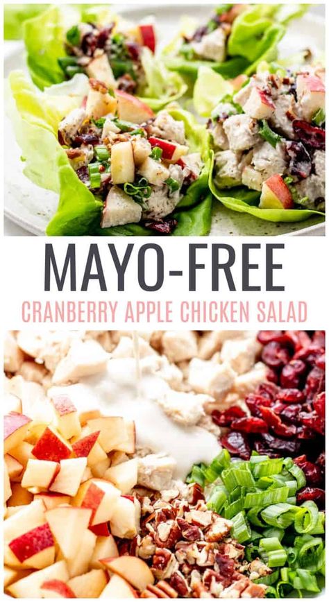 Cranberry Chicken Salad {No-mayo} - Haute & Healthy Living Cranberry Chicken Salad Recipe Healthy, Cranberry Apple Chicken Salad, Chicken Salad With No Mayo, Healthy Chicken Salad No Mayo, No Mayo Chicken Salad Recipes, No Mayo Salads, Chicken Salad Recipe Without Mayo, Chicken Salad Recipe No Mayo, Chicken Salad Without Mayo