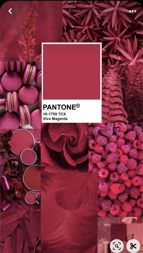 Pantone Viva Magenta Color Palette, Trending Colour Pallets 2023, Vivid Magenta Pantone, Deep Magenta Color Palette, Pantone Colour 2023, Pantone Of The Year 2023, Colour Pallette 2023, Pantone Viva Magenta 2023, Pantone Mood Board