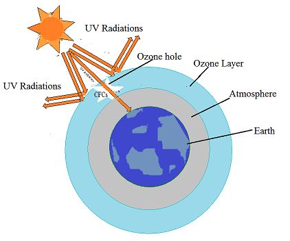 All Students Notes: Ozone depletion and ozone hole: Definition, explan... Ozone Depletion, Ozone Layer, Ultraviolet Radiation, Human Activity, Chemical Reactions, Letter A Crafts, Questions And Answers, Chemistry, Quick Saves