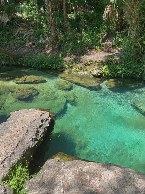 Nature Aesthetic Pictures, Apopka Florida, Kelly Park, Rock Springs, Piscina Natural, Spring Nature, Alam Yang Indah, Crystal Clear Water, Nature Aesthetic