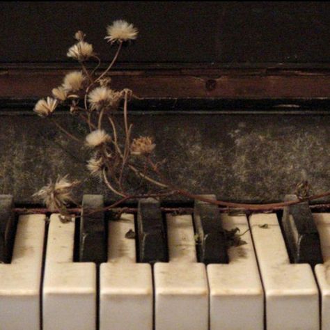 Old Piano, Dark Acadamia, Seni Vintage, Chaotic Academia, Images Esthétiques, Foto Vintage, Dark Academia Aesthetic, Music Aesthetic, + Core + Aesthetic