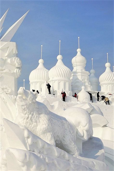 Snow In China, Harbin China, Ice Festival, Ice Palace, Visit China, Ice Art, Snow Sculptures, Coastal Gardens, China Set