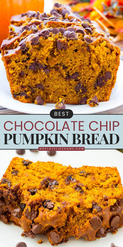 Learn how to make the Best Chocolate Chip Pumpkin Bread for a simple pumpkin dessert! This homemade bread is moist and full of pumpkin spice flavors and melted chocolate chips. It makes a simple Fall recipe or Thanksgiving dessert idea! Pumpkin Chocolate Chip Bread Great Harvest, Easy Chocolate Chip Pumpkin Muffins, Pumpkin Chip Bread, Pumpkin Chocolate Loaf Recipe, Chocolate Pumpkin Loaf, Pumpkin Bread Moist Best, Homemade Pumpkin Bread With Real Pumpkin, Chocolate Pumpkin Banana Bread, Great Harvest Pumpkin Chocolate Chip