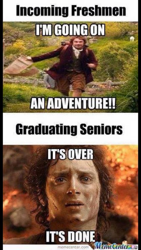 Seniors in my unit. Freshman Memes, Freshmen Vs Seniors, High School Memes, Funny College Memes, Studying Memes, College Memes, School Jokes, Funny School Jokes, School Things