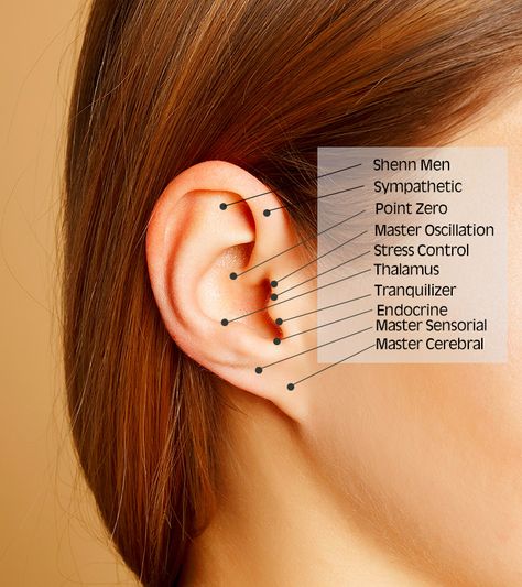 Tiniest Tattoos, Ear Pressure Points, Ear Acupressure Points, Skin Hacks, Ear Seeds, Ear Pressure, Short Shag, Natural Sleep Aids, Pregnant Diet