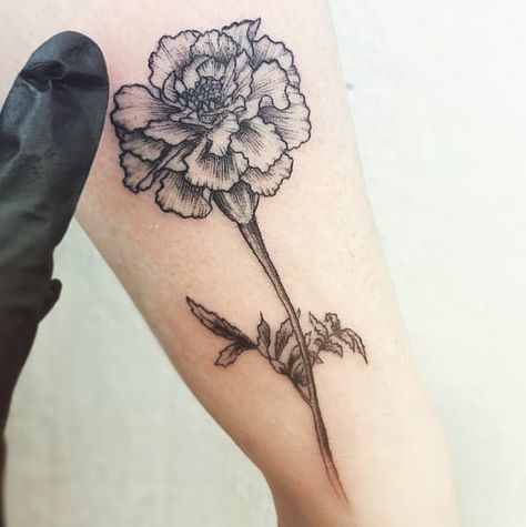 Marigold tattoo for my little Flower Tattoo Black And White, Marigold Flower Tattoo, Flower Tattoo Black, Carnation Flower Tattoo, Marigold Tattoo, Carnation Tattoo, Tattoo Black And White, Flower Tattoo Meanings, Flower Tattoo Back