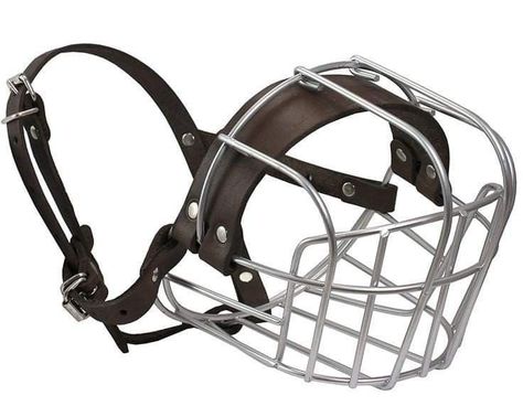 Metal Wire Basket, Braces Girls, Dog Mask, Dog Muzzle, Pet Spaces, Dog Basket, Puppy Play, Dog Diapers, Wire Basket