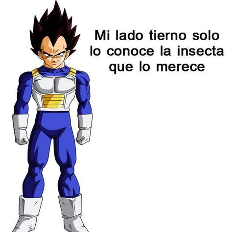 Xddddddddddddddddddddddddddddddddddddddddddddddd Goku Art, Amor Anime, Goku Y Vegeta, Dragon Z, Z Tattoo, Vegeta And Bulma, Rosario Vampire, Anime Vs Cartoon, Goku Vs