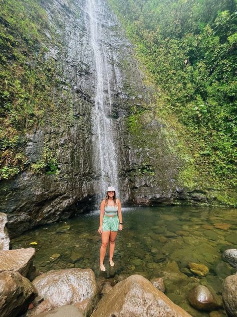 Manoa Falls Oahu, Manoa Falls, University Of Hawaii At Manoa, Hawaii Honolulu, University Of Hawaii, Dream School, Honolulu Hawaii, Dream Lifestyle, Oahu Hawaii