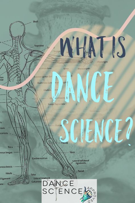 Dance Terms, What Is Dance, Dance Teacher Tools, Plant Styling, Teach Dance, Ballet Technique, Dance Technique, Dance Forever, Ballet Dance Videos