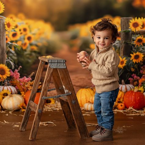 Sweet little guy at his Fall Portrait Session! www.sarapopephotography.com/shop Backdrop love @hsdbackdrops Fall Portraits, Studio Backdrops, The Sunflower, Backdrop Design, Fall Photoshoot, Custom Backdrop, Backdrops Backgrounds, Digital Backdrops, Portrait Session