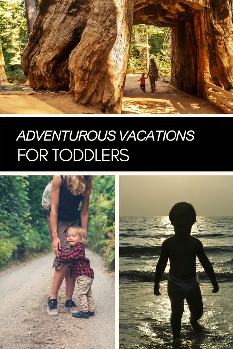 We are advocates for adventurous vacations with toddlers! That's why we're sharing our vacation itinerary for the next year as a family with a 2 year old! Trips emphasize sensory experiences and outdoor exploration. Recommended USA destinations include Florida beach vacations, Colonial Williamsburg for history enthusiasts, National Parks for animal sightings, Dude Ranches or Farm Stays for animal interaction, and campgrounds.

#vacation #familytravel #familyvacation #travel #toddler #adventure Toddler Vacation, Florida Beaches Vacation, Camping With Toddlers, Usa Destinations, Outdoor Exploration, Vacation Itinerary, Best Vacation Spots, Outdoor Vacation, Best Family Vacations