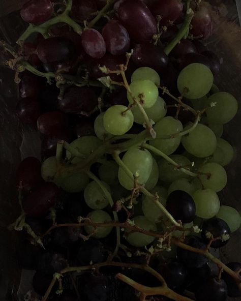 photo aesthetic Vine Aesthetic, Fruit World, Dark Paradise, Cookie Run, Green Aesthetic, Photo Inspo, Chic Decor, Grape Vines, Vines