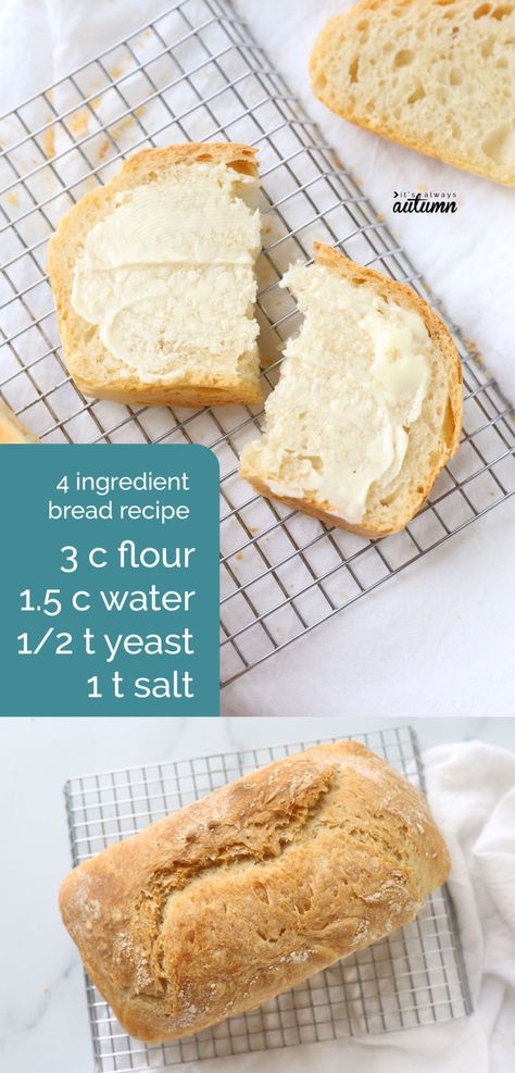 4 Ingredient Stuck at Home Bread {insanely easy bread recipe} - It's Always Autumn 4 Ingredient Bread Recipe, Sugar Free Bread, Basic Bread Recipe, Easy Bread Recipe, Bread Recipe Video, Yeast Packet, Homemade White Bread, Chewy Bread, Homemade Bread Recipes Easy