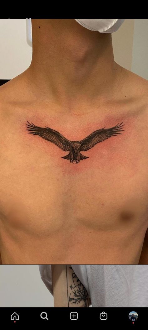 Bird Spreading Wings Tattoo, Cover Up Bird Tattoo, Eagle Bird Tattoo, Bird On Chest Tattoo, Hawk Neck Tattoo, Tattoo Eagle Design, Minimal Chest Tattoo Men, Bird Chest Tattoo Men, Hawk Wing Tattoo